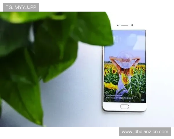 面对老虎机上不了分的问题，用户应采取哪些有效措施